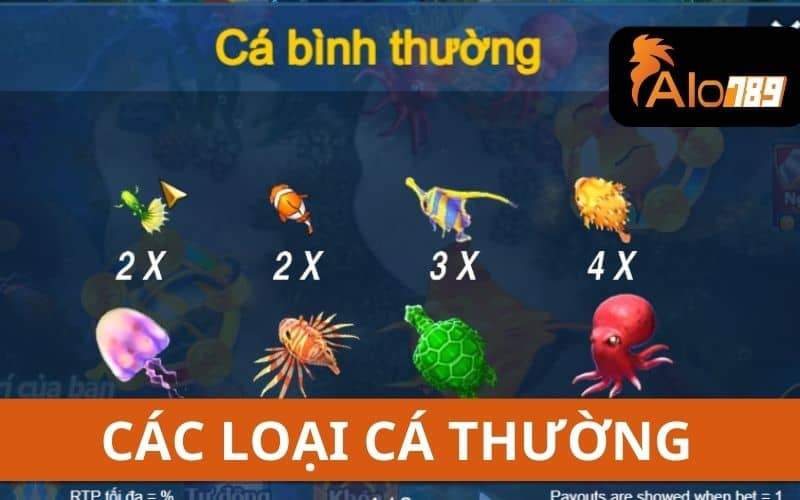 Các loại cá thường trong trò chơi đánh cá vui vẻ Các loại cá thường trong trò chơi đánh cá vui vẻ